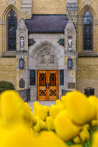 MC 4.21.25 BSH East Door Spring.JPG by Matt Cashore/University of Notre Dame April 21, 2025; Basilica east door framed by yellow tulips. (Photo by Matt Cashore/University of Notre Dame)