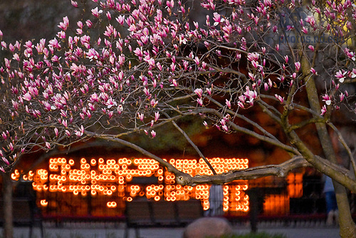 MC 4.14.25 Spring Scenic 05.JPG by Matt Cashore/University of Notre Dame April 14, 2025; Grotto at dusk (Photo by Matt Cashore/University of Notre Dame)