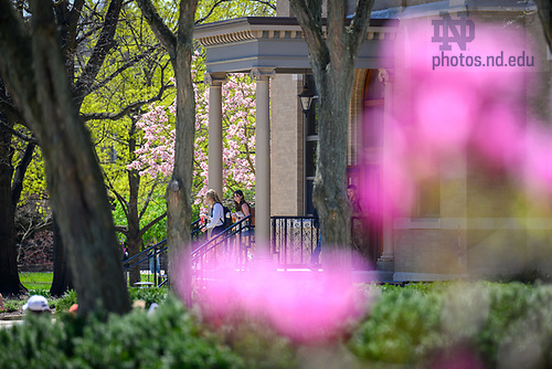 MC 4.22.25 Spring Scenic 06.JPG by Matt Cashore/University of Notre Dame April 22, 2025; Students on the LaFortune Student Center steps (Photo by Matt Cashore/University of Notre Dame)