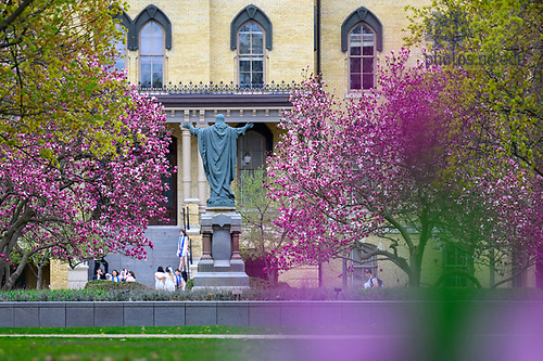 MC 4.21.25 Main Quad Spring Scenic.JPG by Matt Cashore/University of Notre Dame April 21, 2025; Main Quad in spring (Photo by Matt Cashore/University of Notre Dame)